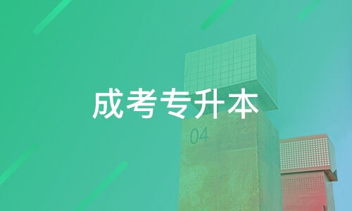 东莞圣贤教育与淘学培训深度解析 选择教育咨询服务需谨慎