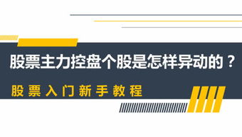投资者教育咨询 打造个人频道，开启智慧理财新篇章